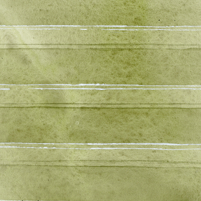 imagen 13. chapman expo